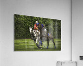 ACT 01474 Acrylic Print