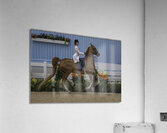 ACT 01484 Acrylic Print