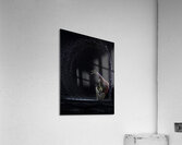 ACT 01435 Acrylic Print