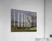ACT 01467 Acrylic Print