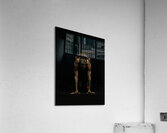 ACT 01444 Acrylic Print