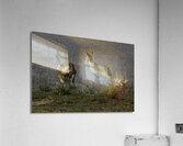 ACT 01468 Acrylic Print