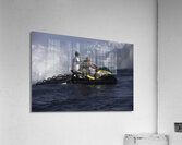 ACT 01453 Acrylic Print