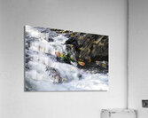 ACT 01463 Acrylic Print