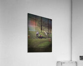 ACT 01456 Acrylic Print