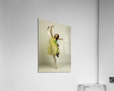 ACT 01447 Acrylic Print