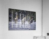ACT 01430 Acrylic Print