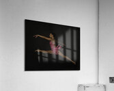 ACT 01473 Acrylic Print