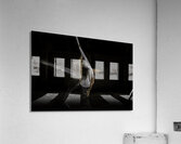 ACT 01438 Acrylic Print