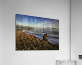 WAT 01614 Acrylic Print