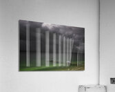 WAT 01612 Acrylic Print