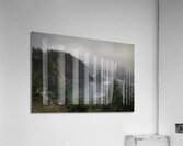 WAT 01591 Acrylic Print