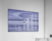 WAT 01601 Acrylic Print