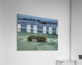 WAT 01621 Acrylic Print