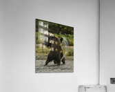 ACT 01390 Acrylic Print