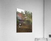 ACT 01402 Acrylic Print
