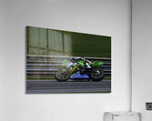 ACT 01413 Acrylic Print