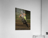 ACT 01405 Acrylic Print