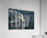 ACT 01371 Acrylic Print