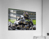 ACT 01399 Acrylic Print
