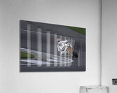 ACT 01400 Acrylic Print