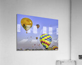 ACT 01355 Acrylic Print