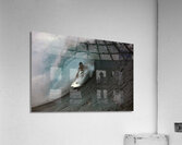 ACT 01370 Acrylic Print