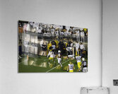 ACT 01378 Acrylic Print