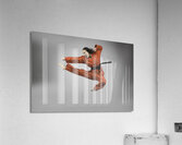 ACT 01360 Acrylic Print
