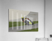 ACT 01415 Acrylic Print