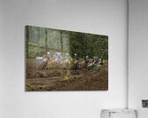 ACT 01397 Acrylic Print