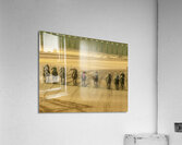 ACT 01392 Acrylic Print