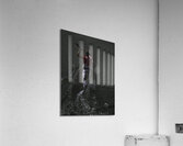 ACT 01386 Acrylic Print