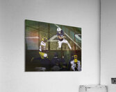 ACT 01380 Acrylic Print