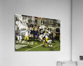 ACT 01379 Acrylic Print