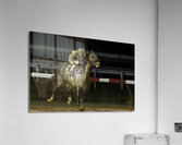 ACT 01395 Acrylic Print