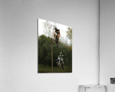 ACT 01403 Acrylic Print