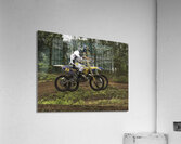 ACT 01406 Acrylic Print