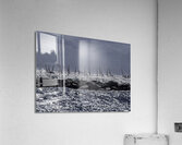 ACT 01350 Acrylic Print