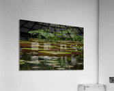 LAN 01666 Acrylic Print