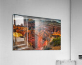 LAN 01643 Acrylic Print