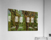 LAN 01661 Acrylic Print