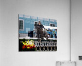 ACT 01673 Acrylic Print