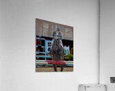 ACT 01674 Acrylic Print