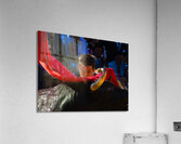 ACT 01685 Acrylic Print