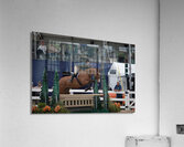 ACT 01677 Acrylic Print