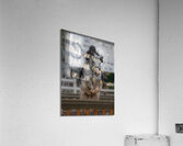 ACT *01678 Acrylic Print