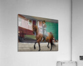 ACT 01679 Acrylic Print