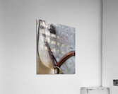 ANI 01692 Acrylic Print