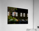 BIR 01718 Acrylic Print